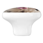 オーストラリア羊飼い陶芸可愛い犬ノブ セラミックノブ (側面)