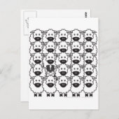 オーストラリア羊飼い ポストカード (正面/裏面)