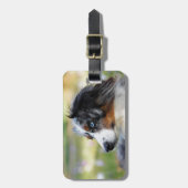 オーストラリア羊飼い ラゲッジタグ (正面縦)