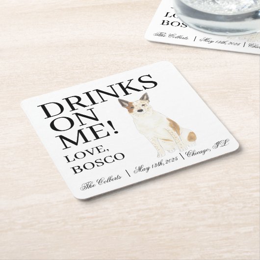 オーストラリア赤と白キャットレードヘラー結婚ズ スクエアペーパーコースター (アングル)