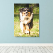 オーストラリア遊の羊飼いの舞踏会 キャンバスプリント (インサイチュ (ウッドフロア))