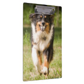 オーストラリア遊の羊飼いの舞踏会 クリップボード (右)