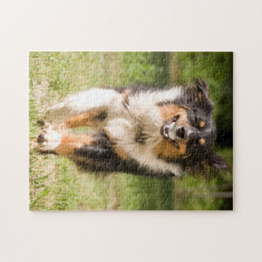 オーストラリア遊の羊飼いの舞踏会 ジグソーパズル (横)