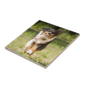 オーストラリア遊の羊飼いの舞踏会 タイル (側面)