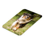 オーストラリア遊の羊飼いの舞踏会 マグネット (左側)