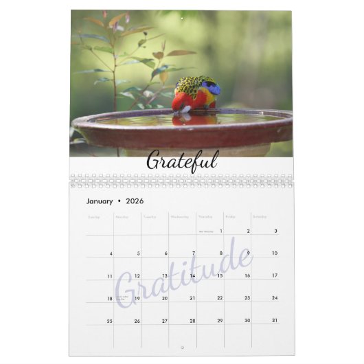 オーストラリア野生生物やる気を起こさせる写真 カレンダー (1月 2026)