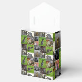 オーストラリア野生生物写真コラージュ フェイバーボックス (オープン)