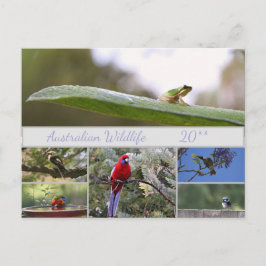 オーストラリア野生生物写真 シーズンポストカード