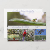 オーストラリア野生生物写真 シーズンポストカード (正面/裏面)