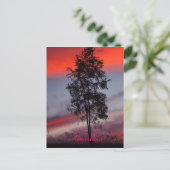 オーストラリア風の夕日のはがき ポストカード (スタンド正面)