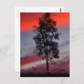 オーストラリア風の夕日のはがき ポストカード (正面/裏面)