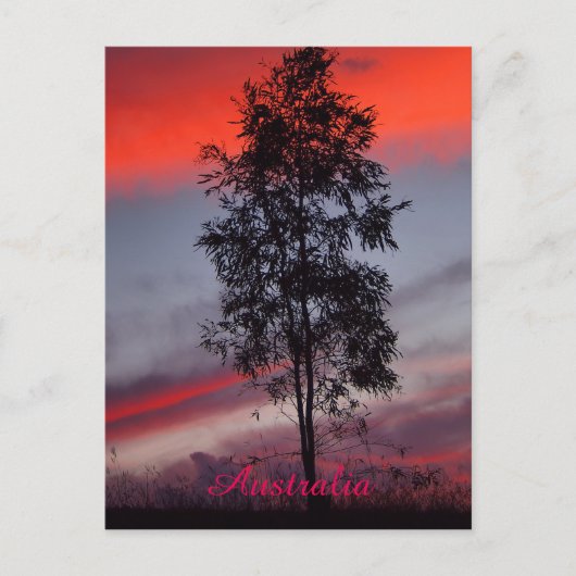 オーストラリア風の夕日のはがき ポストカード (正面)