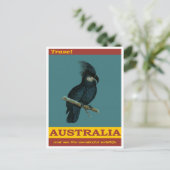 オーストラリア黒コカトゥーバードヴィンテージ旅行 ポストカード (スタンド正面)