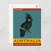 オーストラリア黒コカトゥーバードヴィンテージ旅行 ポストカード (正面/裏面)