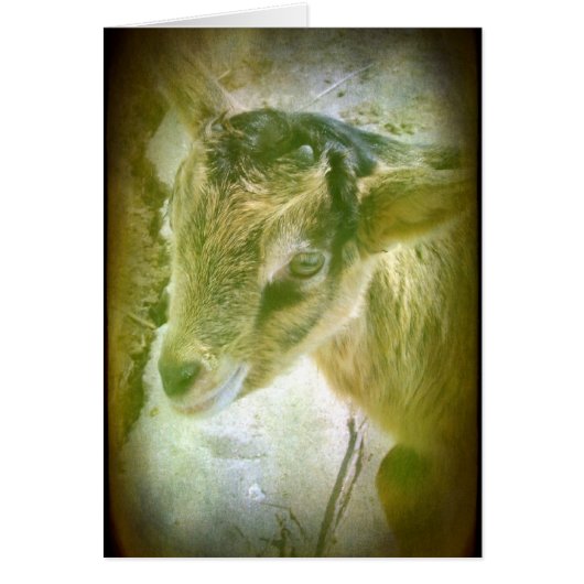 オーストラリア (正面)