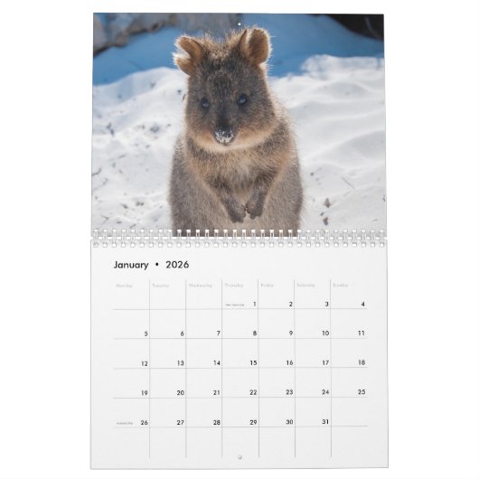 オーストラリア2025野生動物写真 カレンダー (1月 2026)