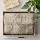 オーストラリア9 薄葉紙 (ギフト)