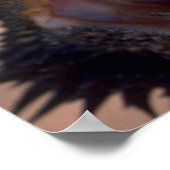 オーストラリア，ひげ竜 ポスター (角)