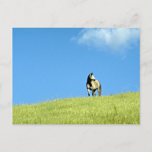 オーストラリア，アラビア・マーレ，ビクトリア ポストカード (正面)