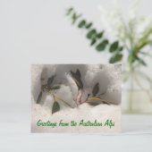 オーストラリア・アルプスからの挨拶 ポストカード (スタンド正面)