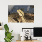 オーストラリア・イースタン・ウォーター・ドラゴン ポスター (ホームオフィス)