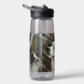 オーストラリア ウォーターボトル (右面)