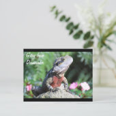 オーストラリア・ウォーター・ドラゴン ポストカード (スタンド正面)