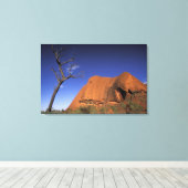 オーストラリア、ウルル・カタ・ジュタ国立公園、ウルル キャンバスプリント (インサイチュ (ウッドフロア))