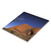 オーストラリア、ウルル・カタ・ジュタ国立公園、ウルル タイル (側面)