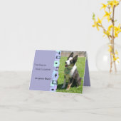 オーストラリア・キャトル・ドッグ・誕生日・グリーティング・カード カード (黄色い花)