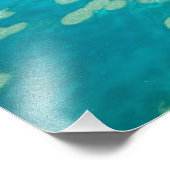 オーストラリア，クイーンズランド，ウィットサンデー素晴らしコースト， 4 フォトプリント            (角)