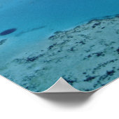 オーストラリア、クイーンズランド。バリア素晴らしリーフ ポスター (角)