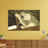 オーストラリア、クイーンズランド、ブリスベン。フィグツリー キャンバスプリント (インサイチュ (リビング))