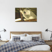 オーストラリア、クイーンズランド、ブリスベン。フィグツリー キャンバスプリント (インサイチュ (寝室))