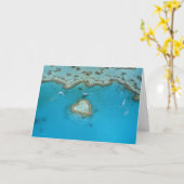 オーストラリア、クイーンズランド、ホワイトサンデー諸島 カード (黄色い花)