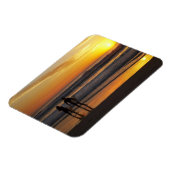 オーストラリア、クイーンズランド、金ゴールド海岸、サーファー マグネット (左側)