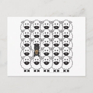 オーストラリア・ケルピーの羊 ポストカード