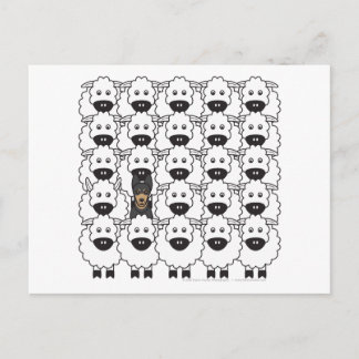 オーストラリア・ケルピーの羊 ポストカード