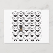 オーストラリア・ケルピーの羊 ポストカード (正面)