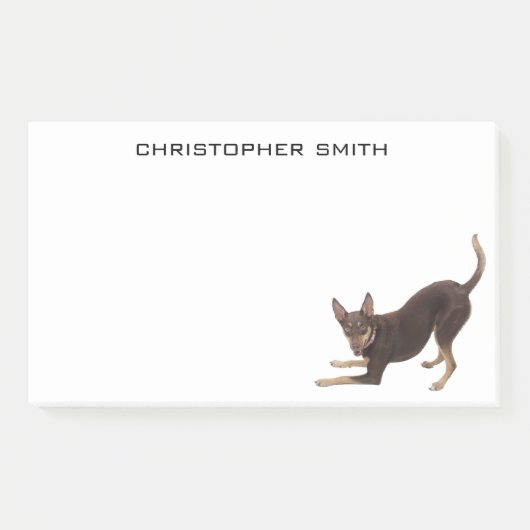 オーストラリア·ケルピー犬 ポストイット (正面)