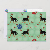 オーストラリア・ケルピー ポストカード (正面/裏面)