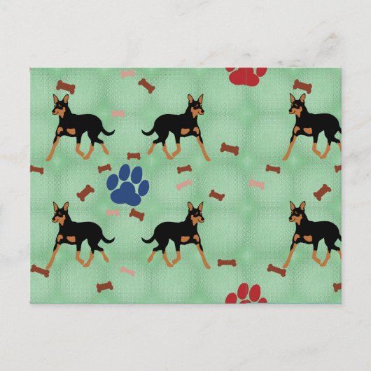 オーストラリア・ケルピー ポストカード (正面)