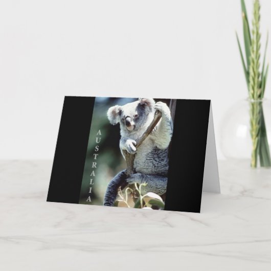 オーストラリア・コアラ・ベア カード (正面)
