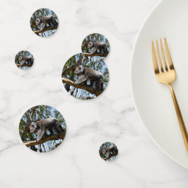 オーストラリア・コアラ・ベア コンフェッティ