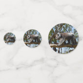 オーストラリア・コアラ・ベア コンフェッティ (正面)