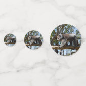 オーストラリア・コアラ・ベア コンフェッティ (裏面)