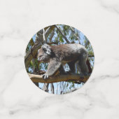 オーストラリア・コアラ・ベア コンフェッティ (スモール正面)