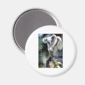 オーストラリア・コアラ・ベア マグネット (正面/裏面)