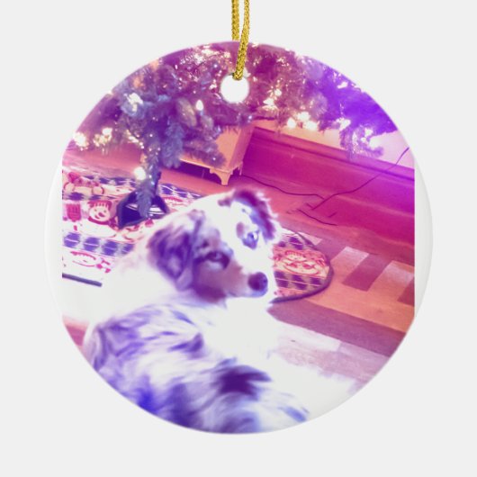 オーストラリア・シェパード・クリスマス セラミックオーナメント (正面)