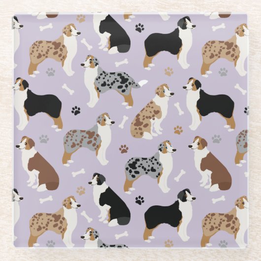 オーストラリア・シェパード・ボーンズ・アンド・ポーズ ガラスコースター (正面)